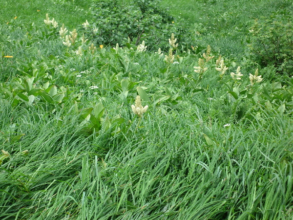 2005-08-02_09-05-00.jpg
