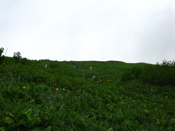2005-08-02_09-11-35.jpg