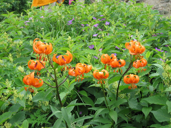 2005-08-02_11-25-04.jpg