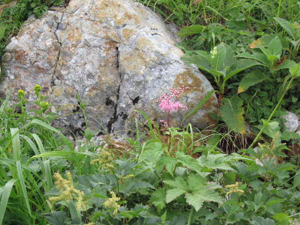2005-08-02_14-06-52.jpg