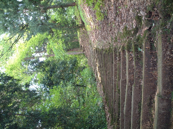 2003-05-05_08-50-35.jpg