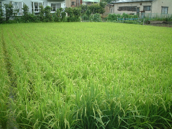 2003-08-10_10-59-41.jpg