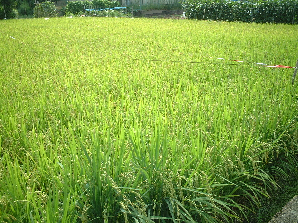 2003-08-20_09-33-30.jpg