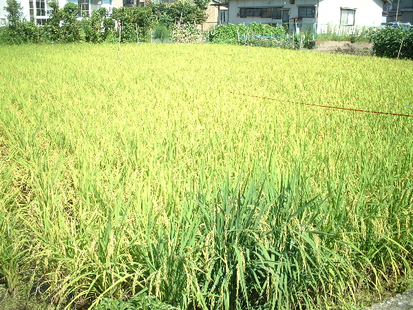 2003-08-23_14-40-33.jpg