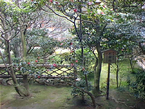 ryoanji007.jpg