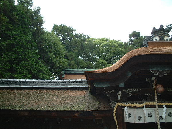 2002-05-08_13-45-45.jpg