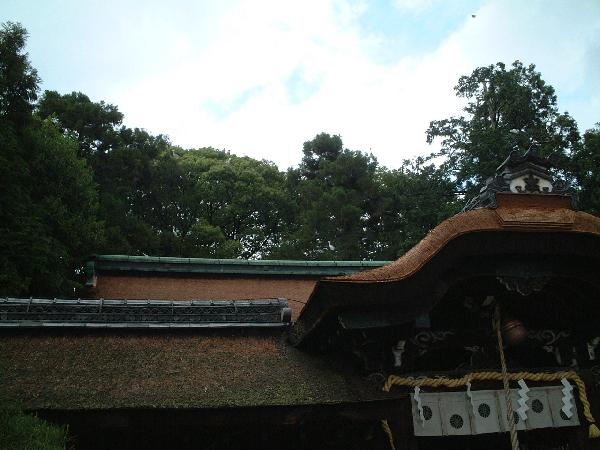 2002-05-08_13-45-53.jpg