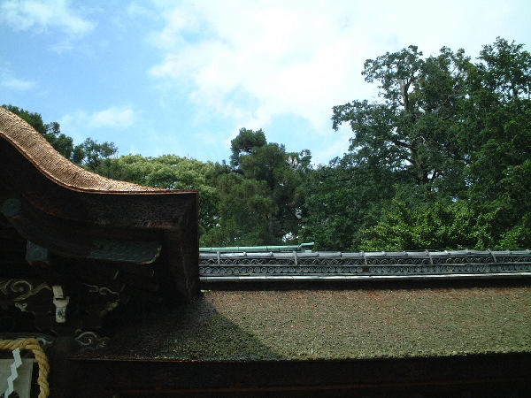 2002-05-08_13-57-57.jpg