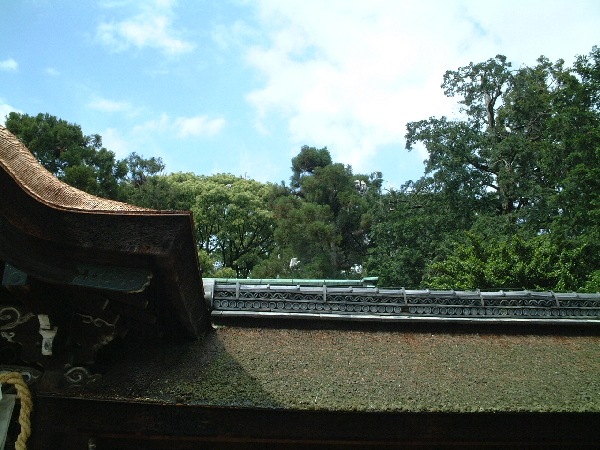 2002-05-08_13-58-19.jpg