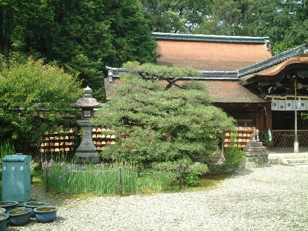 2002-05-08_13-58-42.jpg