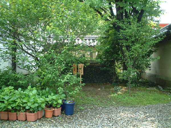 2002-05-08_14-08-01.jpg