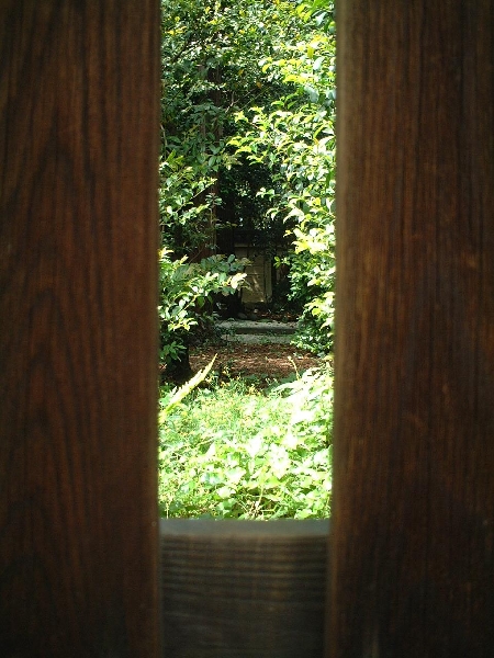 2002-05-08_xx-01.jpg
